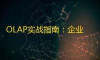 OLAP实战指南：企业级在线分析处理技术的深度解析与价值实现